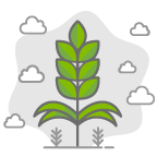 Icons_WHEAT