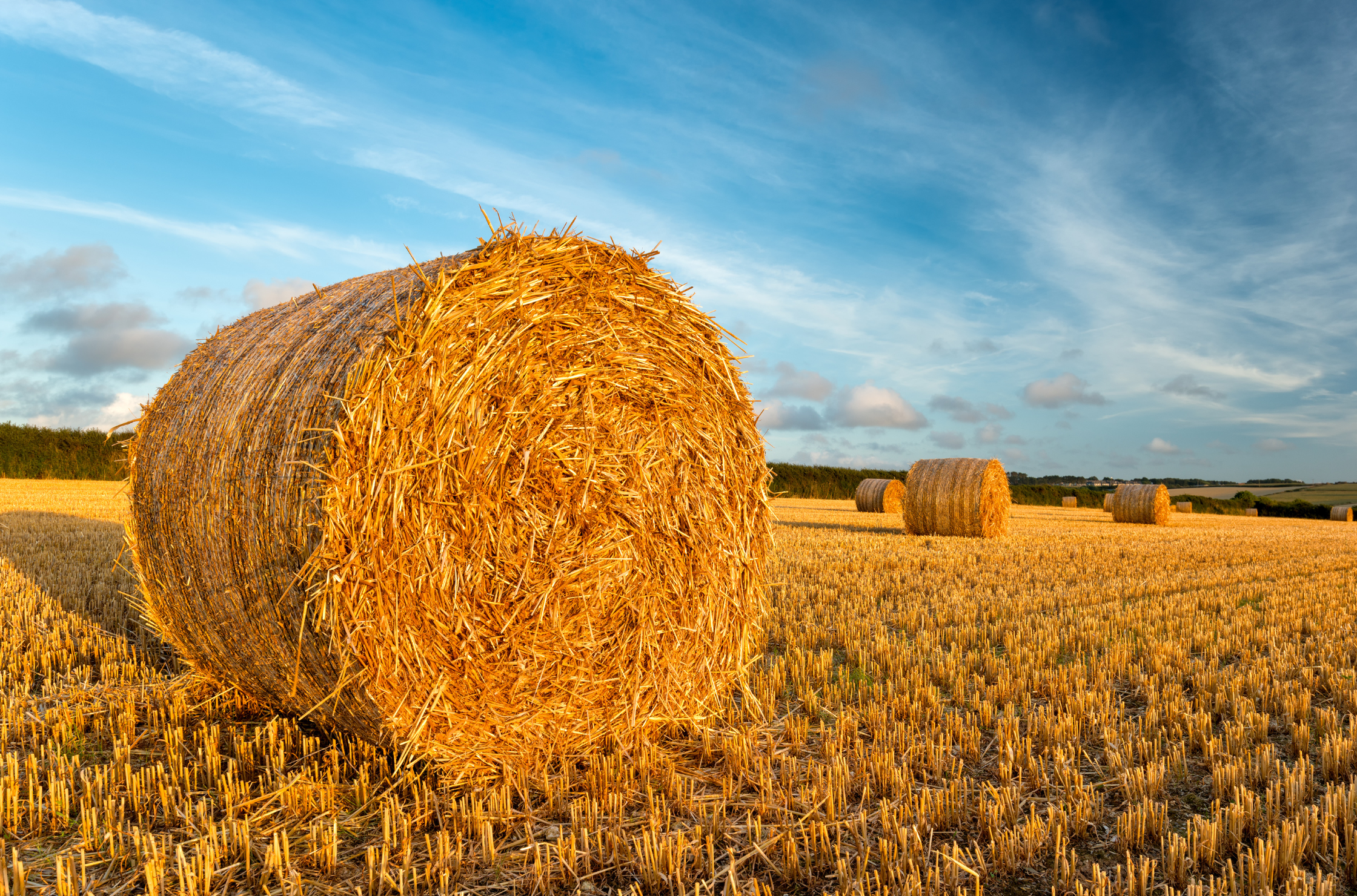 Understanding Farm Income Averaging