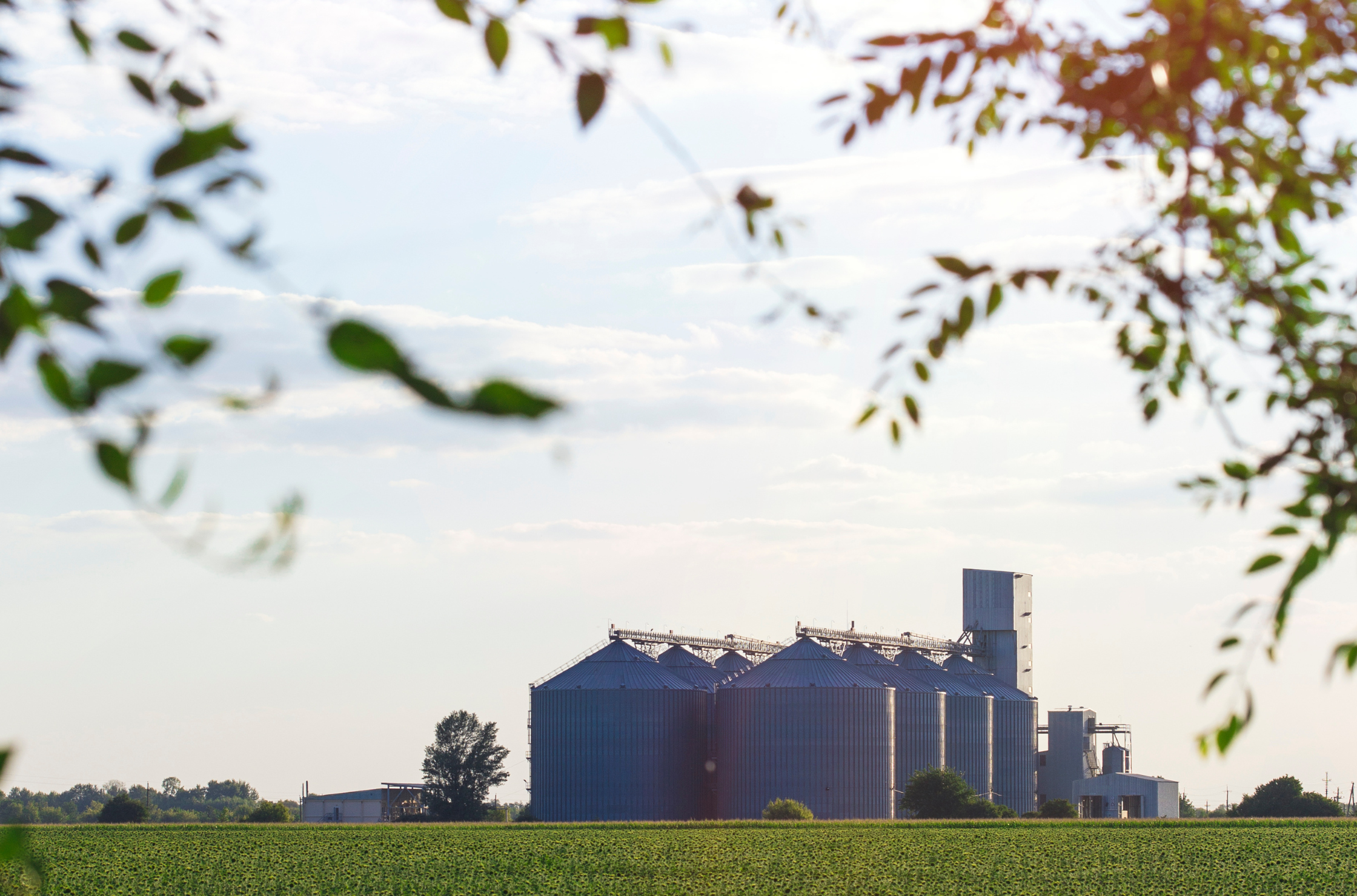 Understanding Your Options for Selling or Gifting Farmland