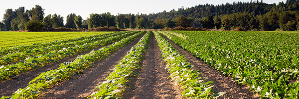 Nebraska Farm Bureau Announces New Health Plan