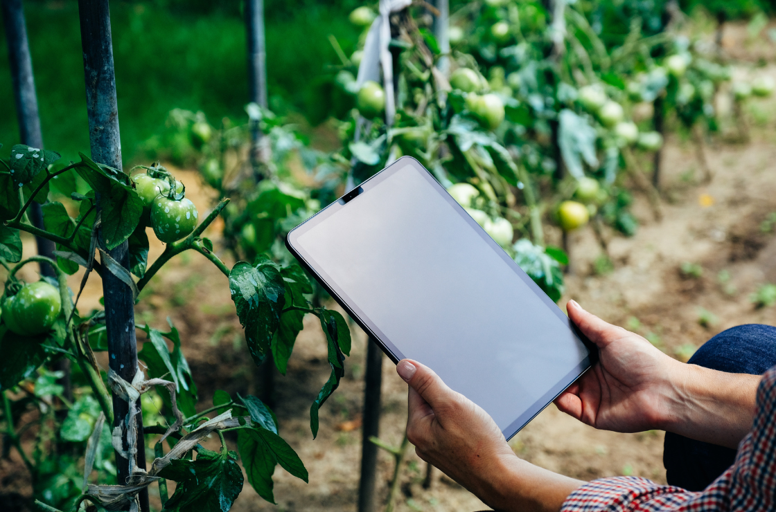 The Benefits of Outsourcing IT in Agriculture