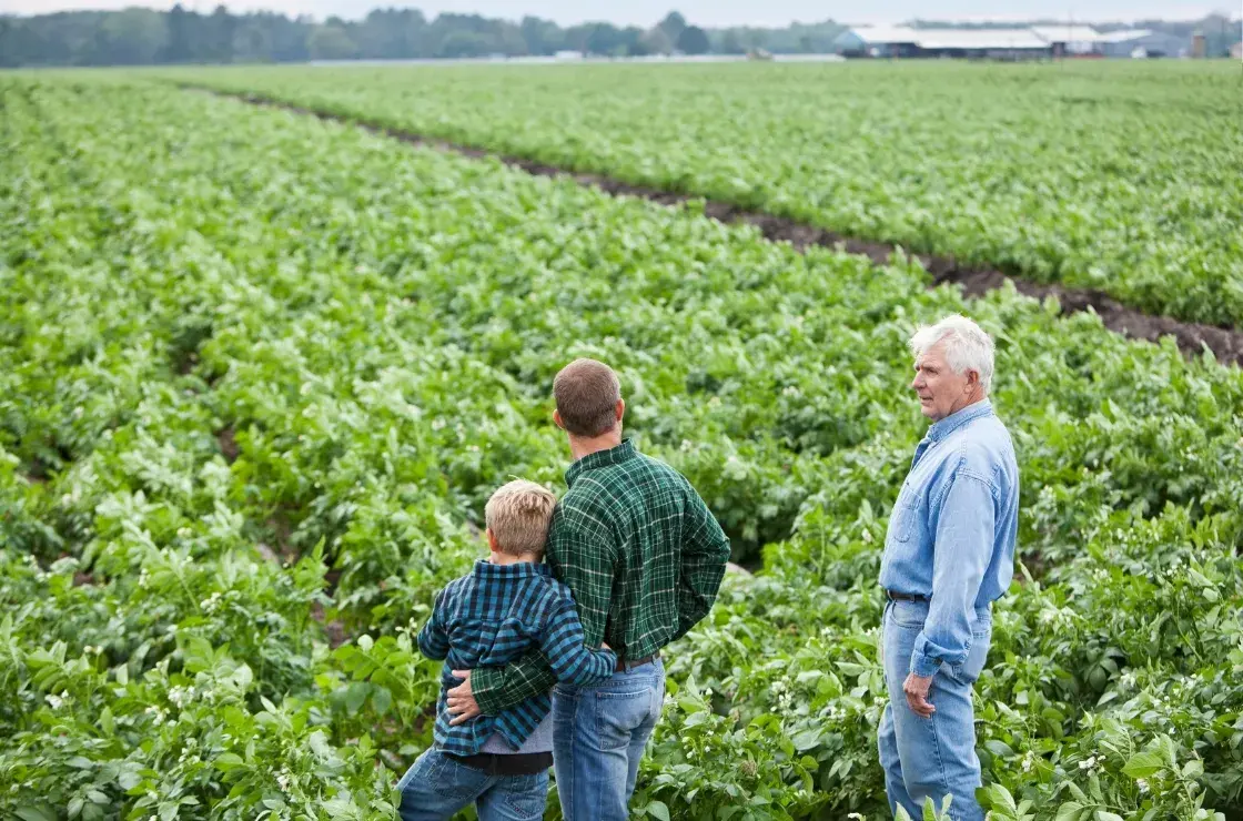 Valuing a Multigenerational Farm: What Ag Business Owners Need to Know